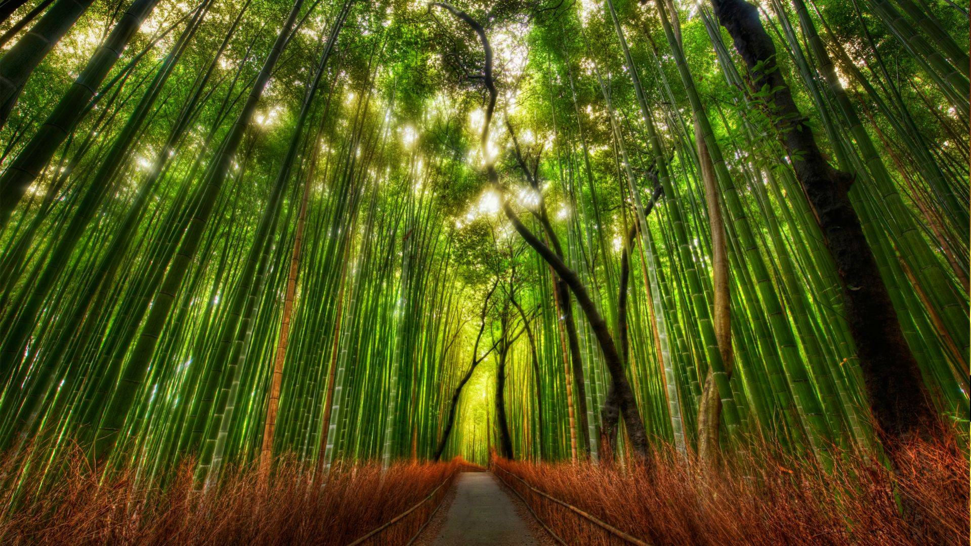 1920 x 1080 HD Wallpapers 138